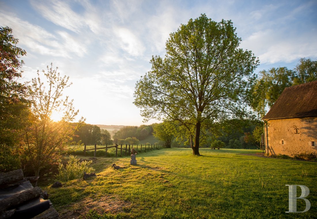 château à vendre Patrice Besse Châteaux et Demeures de France, agence