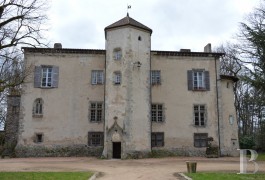 chateau d'auvergne a vendre