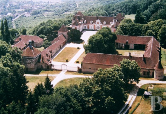 chateaux a vendre 41