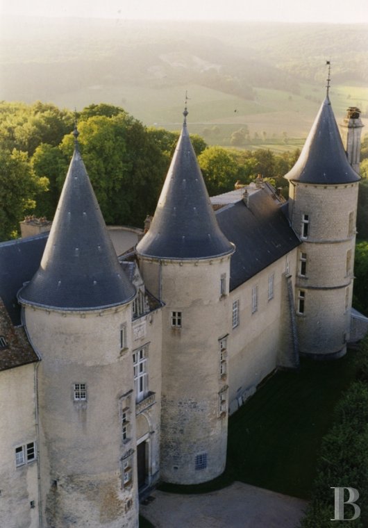 Château à vendre Acheter une belle demeure en France Appartement à