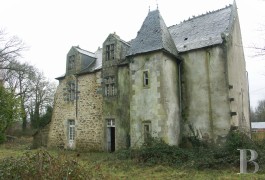 moulin et chateau a vendre