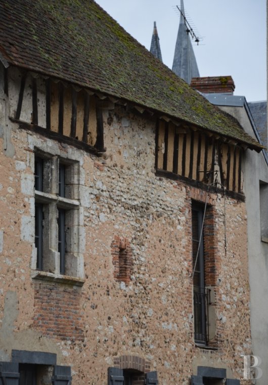 château à vendre Patrice Besse Châteaux et Demeures de France, agence