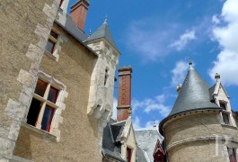 chateaux a vendre poitou charentes hotel equitation - 5