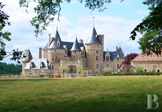 chateaux a vendre poitou charentes hotel equitation - 2