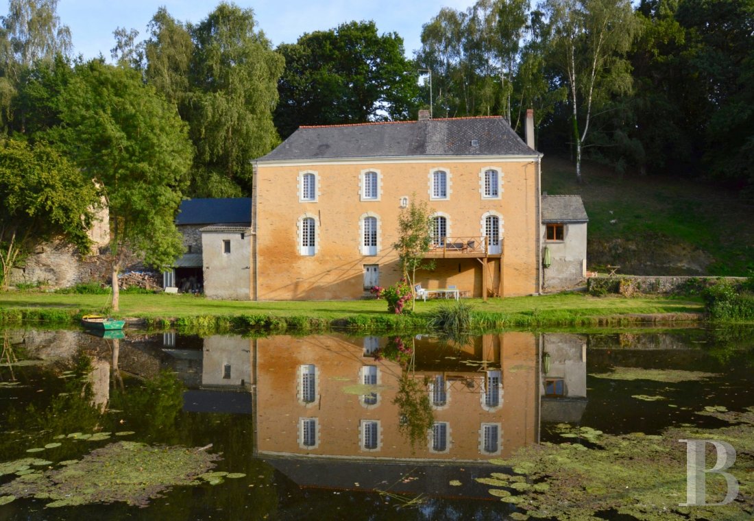 château à vendre Patrice Besse Châteaux et Demeures de France, agence