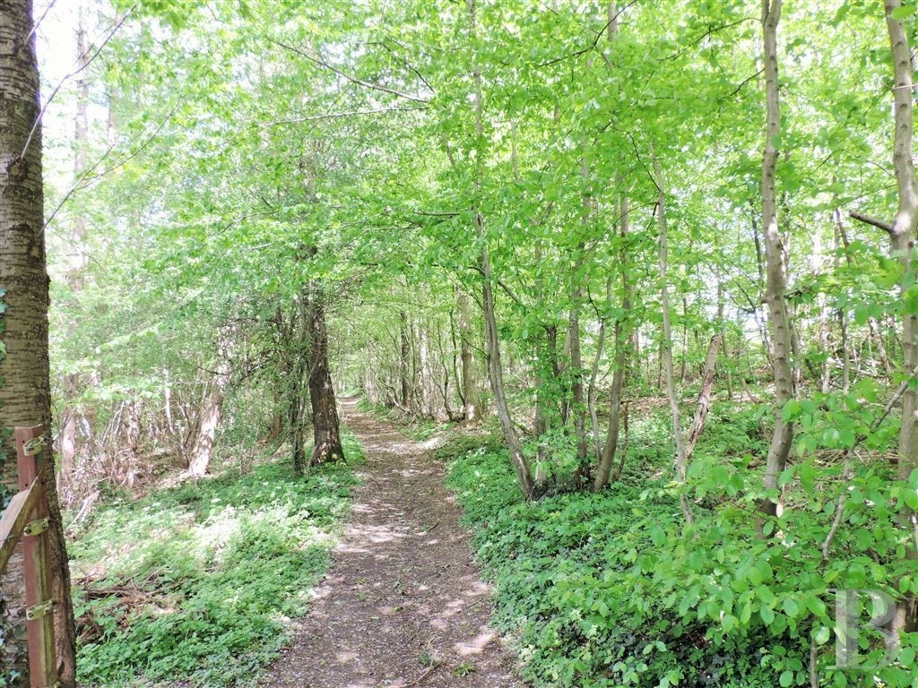 Foret Domaine Forestier A Vendre Pres De Namur Wallonie