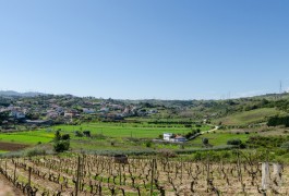 À Portelas, à la campagne mais près des plages,  une propriété du 19e s. pleine de ressources 