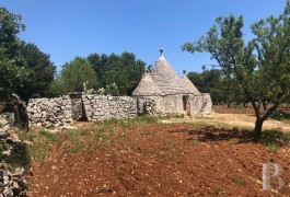 À quelques kilomètres d'Ostuni, à 20 mn de l'aéroport de Brindisi,  un terrain constructible de 6400 m2 et un trullo ...