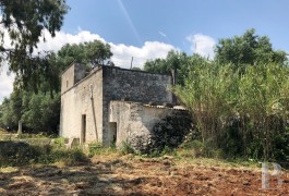 Dans la région des Pouilles, près  d'Ostuni , une authentique «Casale» avec possibilité d'extension sur un terrain d'environ ...
