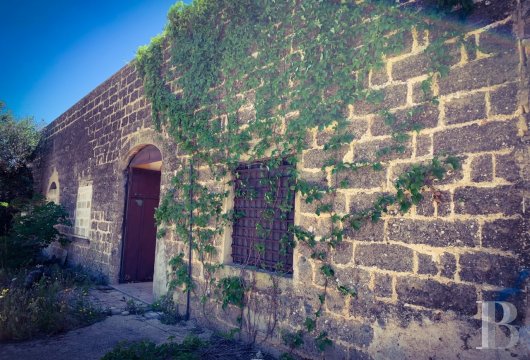 Dans la campagne de Nardò, tout proche de la mer, une masseria du 19ème siècle et son terrain de 3,5 hectares planté ...
