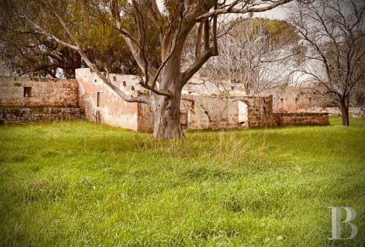 Sur les hauteurs, aux environs d'Ugento, une masseria du 17ème siècle sur un domaine d’environ 8 ha 