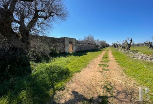   masseria a - 8