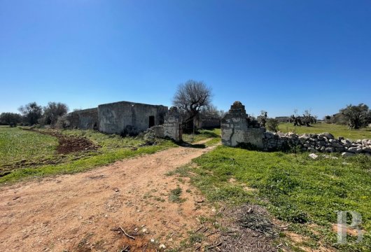 À Sant'Isidoro, sur les rives de la mer Ionienne, une masseria à restaurer, et son oliveraie 