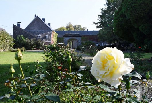 Dans le Condroz liégeois, une ferme du 18ème siècle et son jardin de roses, vendue occupée