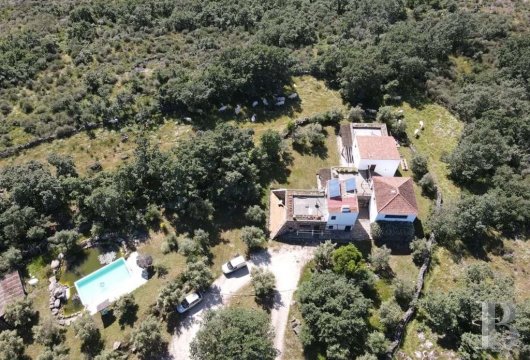 Près de Castelo de Vide et de la frontière espagnole, une maison avec piscine, dans les oliviers de l'Alentejo