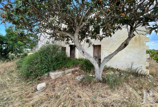 Aux environs de Nardò, une maison de campagne de 80 m², avec vignoble