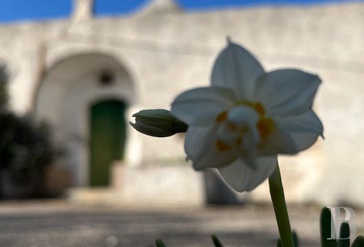   trullo a - 6