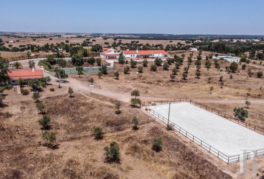 Entre Montemor-o-Novo et Evora, un domaine équestre de 18 hectares, avec piscine