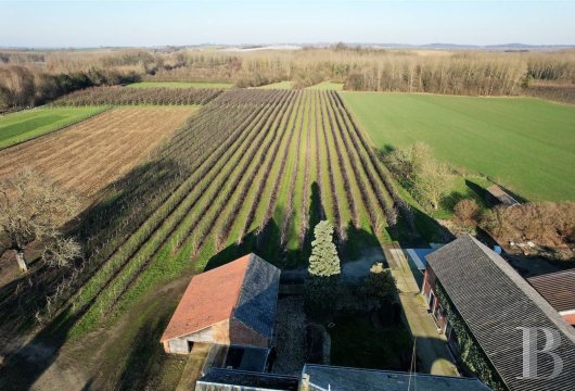 Dans un village de la Hesbaye liégeoise, une ferme à rénover et ses terres de plus de 4 hectares