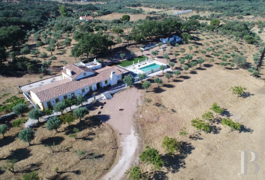 Dans l'Alentejo, près du lac de l'Alqueva, une authentique quinta, sur un domaine de 1,25 hectares, planté d'oliviers