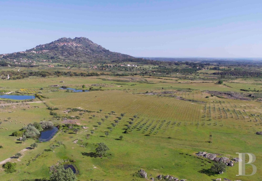 Proche du village de Monsanto, sur 238 ha,<br/>une ferme biologique certifiée et son projet de villas écologiques