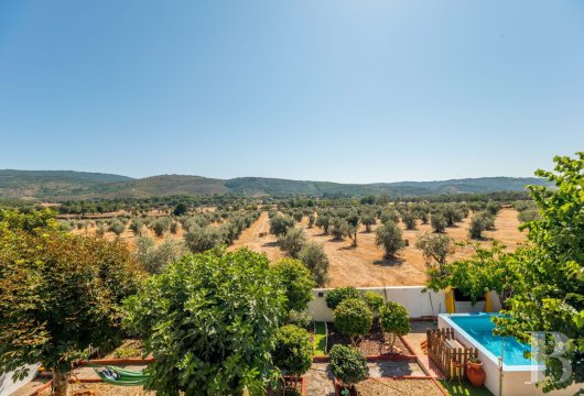 Dans l'Alentejo, à proximité de Marvão, une maison de village récente avec piscine