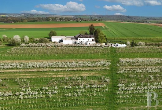 Dans le Condroz, proche de la frontière française, une propriété agricole sur plus de 12 ha de terres