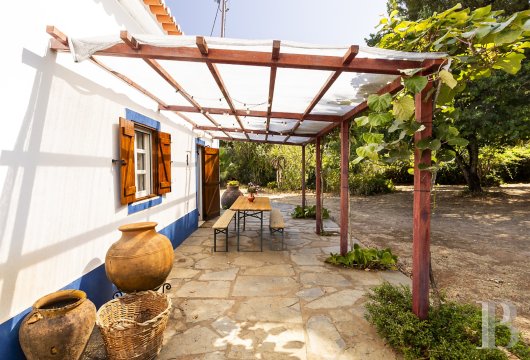 Aux portes d'Estremoz, une propriété alentejane du 18e s. et un oliveraie de 7200 m²