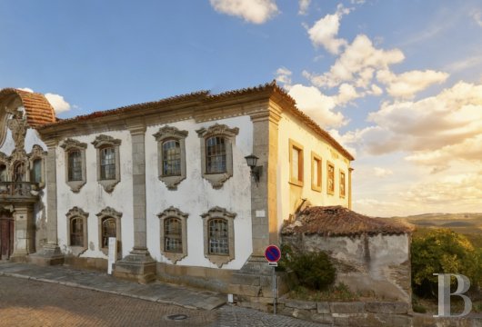 Dans la vallée du Haut-Douro, un palais baroque du 18e s., sur quelque 16 ha de terres agricoles