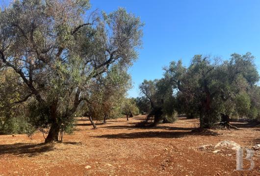 Dans les Pouilles, à Carovigno, un terrain ouvert sur l’Adriatique et son projet de maison sur mesure