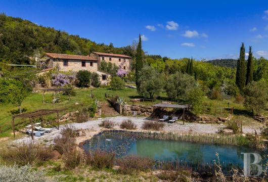 En Toscane, dans les collines de la Maremme, deux fermes de pierre de 1865, leurs oliviers et leurs bois sur quelque ...